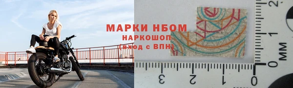 стаф Киренск