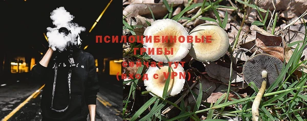 PSILOCYBIN Кинешма