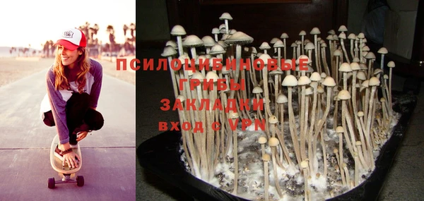 MESCALINE Тында