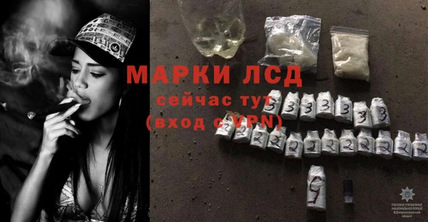 стаф Киренск