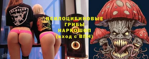 стаф Киренск