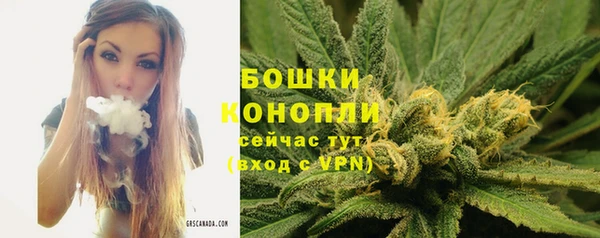 PSILOCYBIN Кинешма