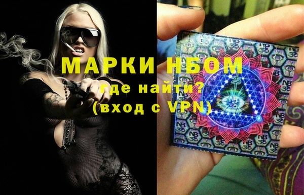 стаф Киренск