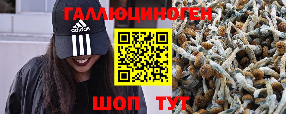 Галлюциногенные грибы Magic Shrooms  Вход с VPN  Старый Оскол 